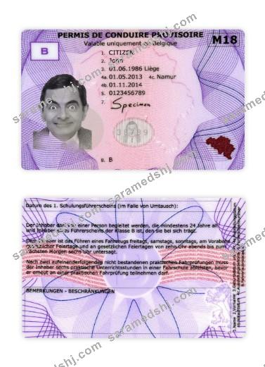 Belgium provisional driving license
